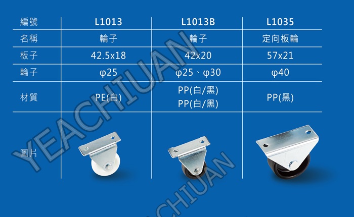 L1013-2