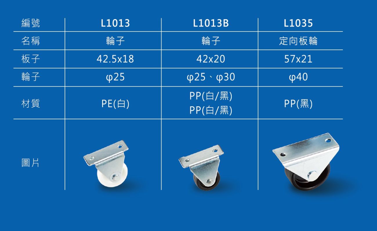 L1013-2
